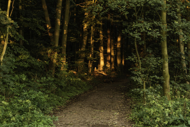 Обои картинки фото природа, дороги, простор