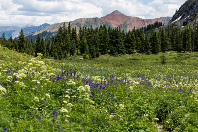 Обои картинки фото природа, луга, простор