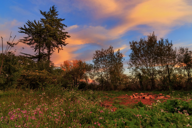 Обои картинки фото природа, пейзажи, простор