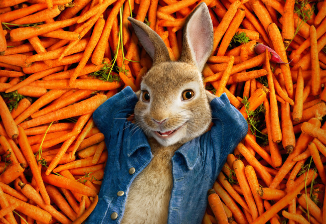 Обои картинки фото кино фильмы, peter rabbit, peter, rabbit