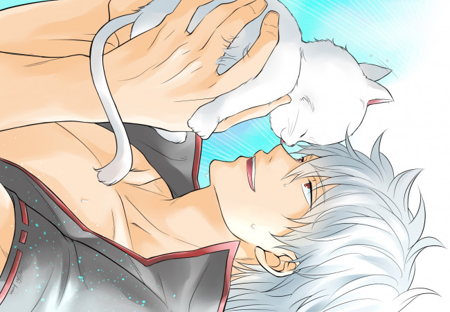 Обои картинки фото аниме, gintama, гинтама