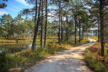 Картинка природа дороги простор