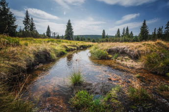 Картинка природа реки озера простор