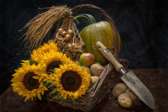 Картинка еда натюрморт снедь