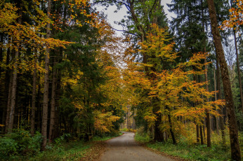 Картинка природа дороги простор