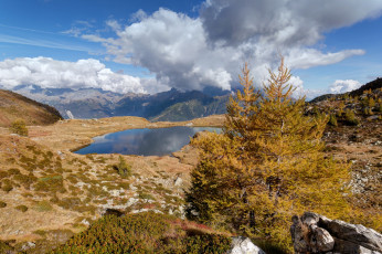 Картинка природа пейзажи простор