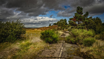 Картинка природа пейзажи простор