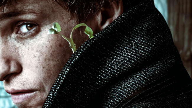 Обои картинки фото кино фильмы, fantastic beasts,  the crimes of grindelwald, eddie, redmayne