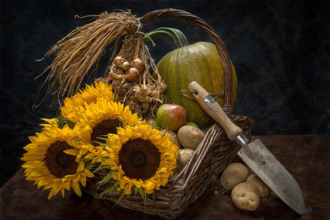Обои картинки фото еда, натюрморт, снедь
