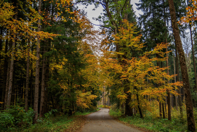 Обои картинки фото природа, дороги, простор