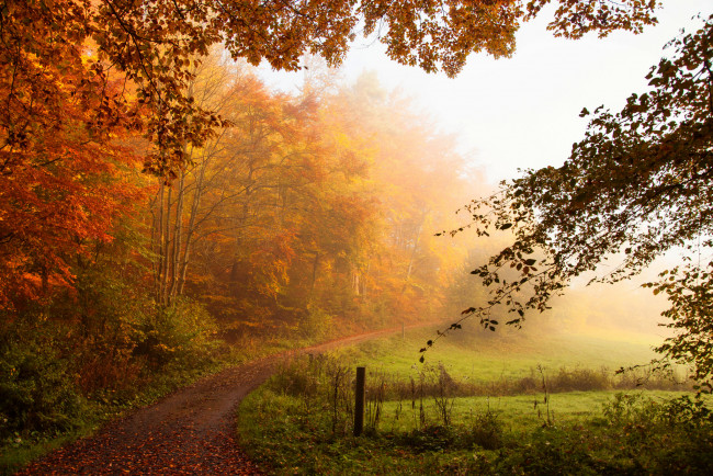 Обои картинки фото природа, дороги, простор