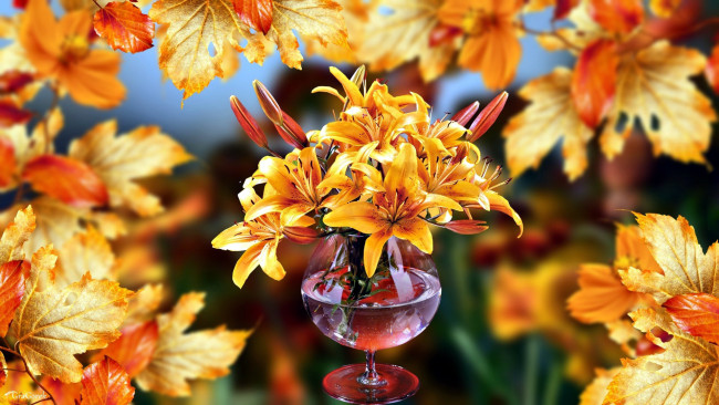 Обои картинки фото цветы, лилии,  лилейники, листья, оранжевый, осень