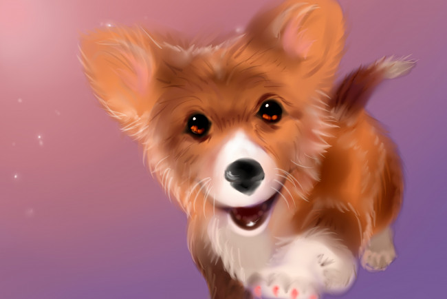 Обои картинки фото рисованное, животные,  собаки, взгляд, фон, собака