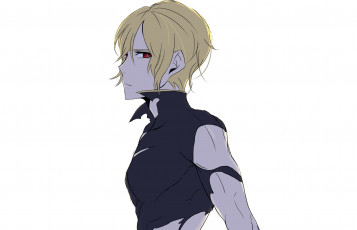 Картинка аниме noblesse дворянство