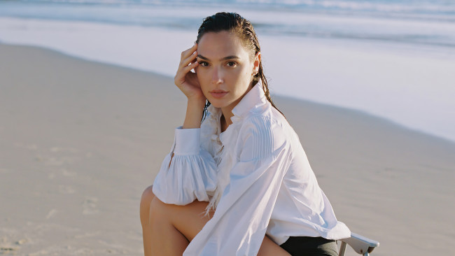 Обои картинки фото девушки, gal gadot, актриса, блузка, берег