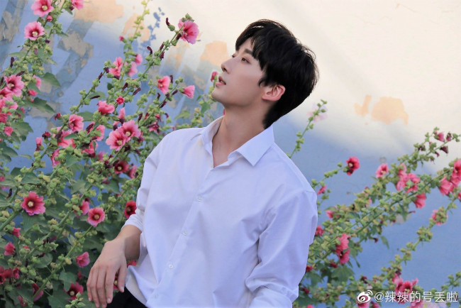 Обои картинки фото мужчины, li bo wen, актер, рубашка, мальвы