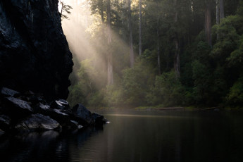 Картинка 3д+графика природа+ nature скала лучи лес озеро