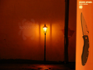 Картинка спайдерка оружие холодное