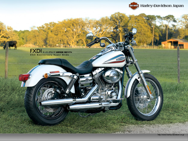 Обои картинки фото мотоциклы, harley, davidson