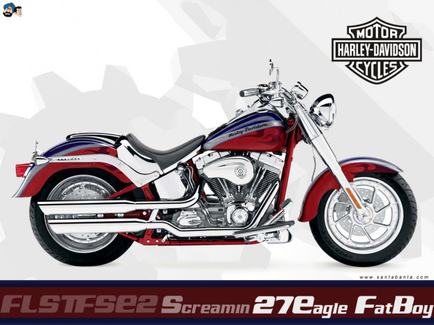Обои картинки фото мотоциклы, harley, davidson