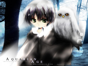 Картинка видео игры aquarian age