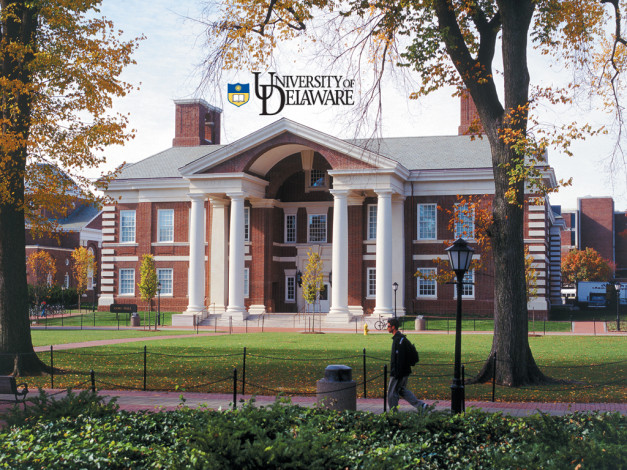 Обои картинки фото разное