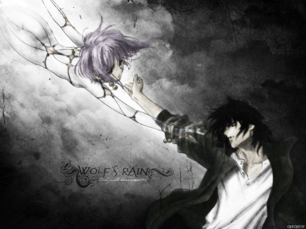 Обои картинки фото аниме, wolf`s, rain