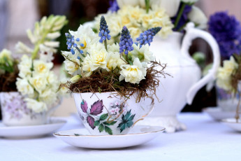 Картинка цветы букеты композиции мох мускари розы чашка гиацинты