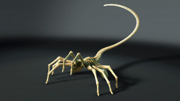 Картинка 3д графика animals животные суставы позвонки пальцы хвост