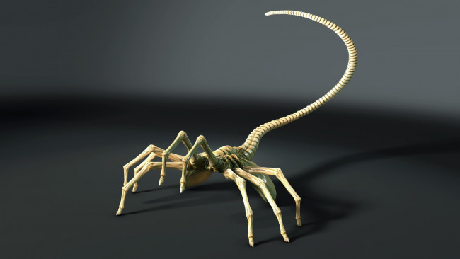 Обои картинки фото 3д, графика, animals, животные, суставы, позвонки, пальцы, хвост
