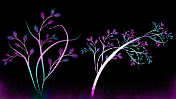 Картинка векторная графика ветки цвета фон линии узор