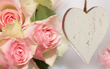 Картинка цветы розы сердечко бутоны розовый