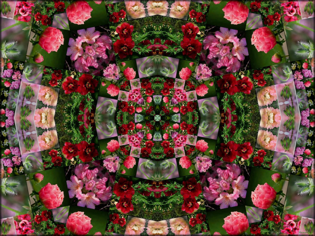 Обои картинки фото разное, компьютерный, дизайн, цветы, узор, графика