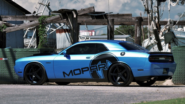 Обои картинки фото dodge, challenger, автомобили, автомобиль, мощь, скорость, красота