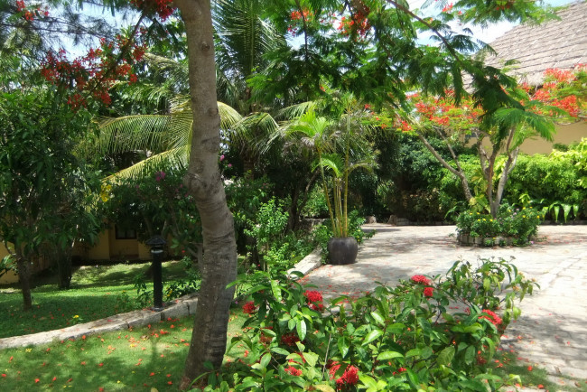 Обои картинки фото муй, не, вьетнам, природа, парк