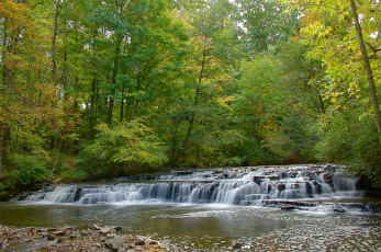 Картинка природа реки озера струи пороги камни речка лес
