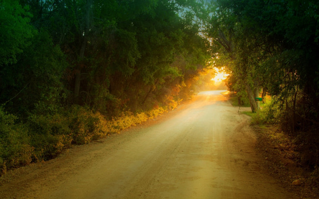 Обои картинки фото природа, дороги, листочки, листва, листья, дерево, деревья