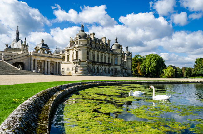 Обои картинки фото города, замки франции, парк, пруд, лебеди, дорога, дворец