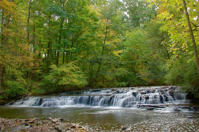 Обои картинки фото природа, реки, озера, струи, пороги, камни, речка, лес