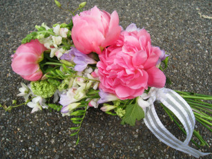 Картинка цветы букеты +композиции пионы львиный зев фрезии