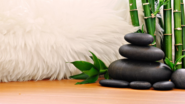 Обои картинки фото разное, ракушки,  кораллы,  декоративные и spa-камни, бамбук, камни