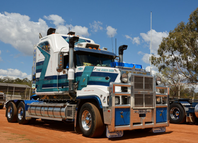 Обои картинки фото mack, автомобили, тягач, седельный, грузовик, тяжелый