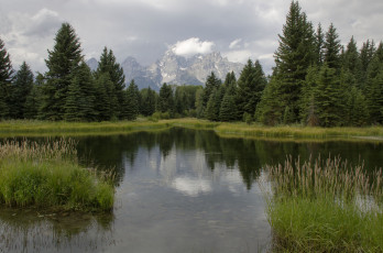 Картинка природа реки озера лес ели пейзаж озеро горы