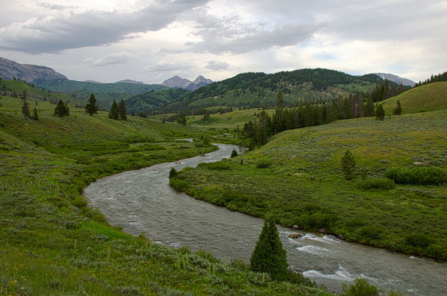 Обои картинки фото природа, реки, озера, ручей, река, деревья