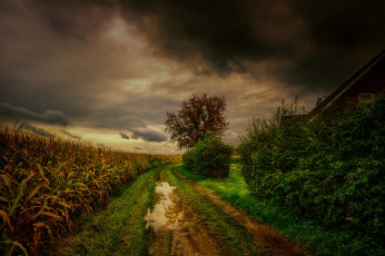 Картинка природа дороги тракт