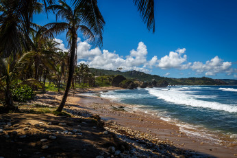 Картинка природа побережье берег море