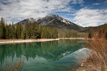 Картинка природа реки озера лес река