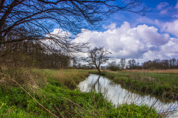 Картинка природа реки озера река лес