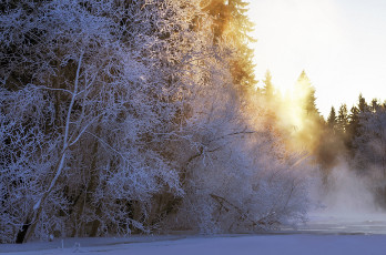 Картинка природа зима снег деревья