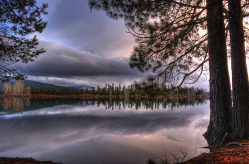 Картинка природа реки озера река лес